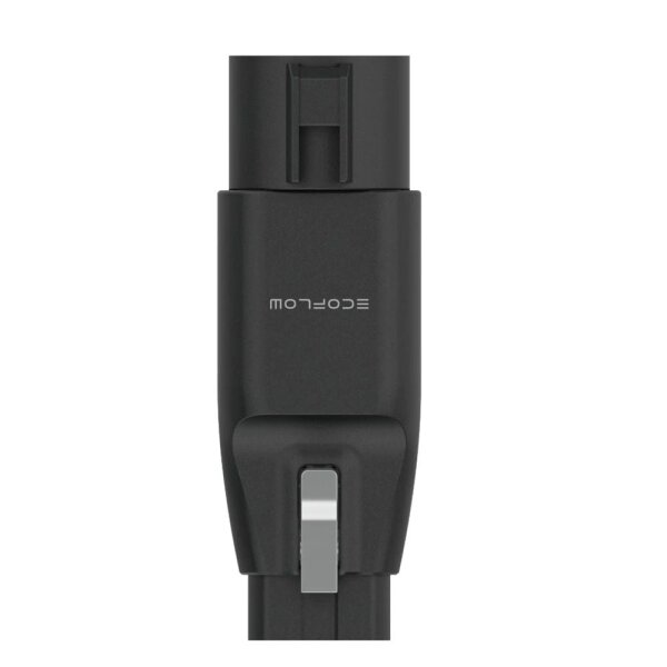 Schwarzer Adapterstecker mit Schriftzug Ecoflow
